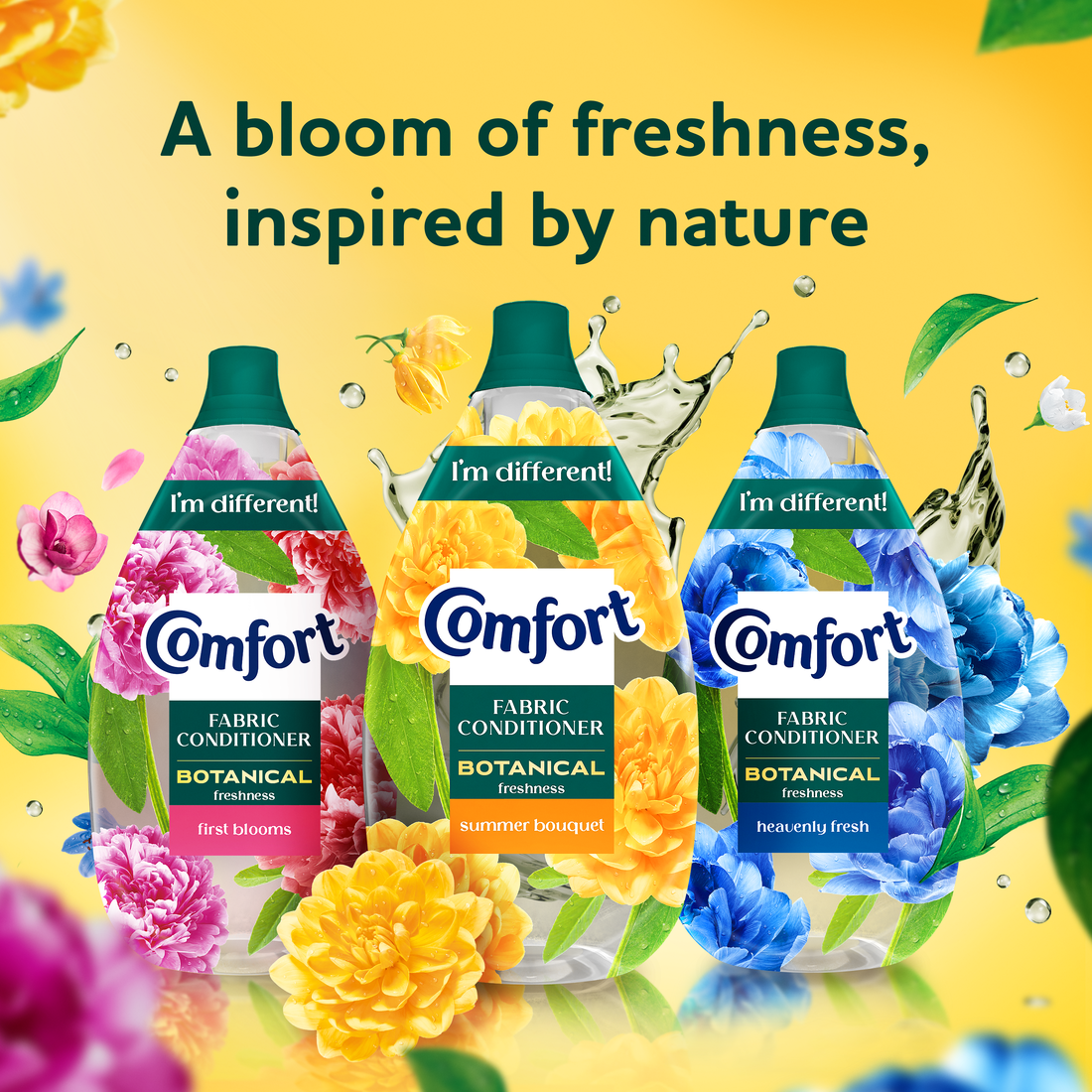 A bloom of freshness, inspired by nature