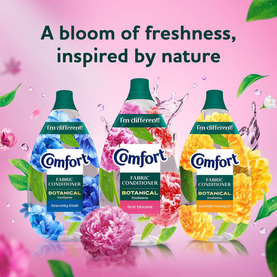A bloom of freshness, inspired by nature